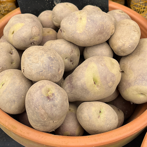 Apache Potato 2kg