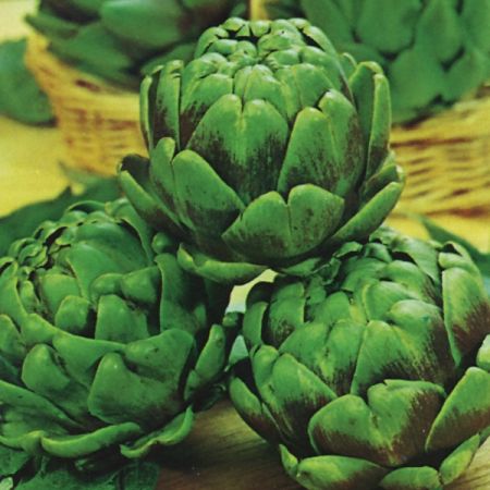 Artichoke Green Globe Seeds