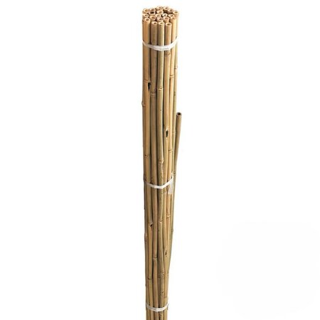 Bamboo Canes 150cm Pack of 20