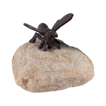 Bee on a Stone