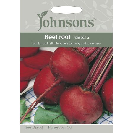 BEETROOT Perfect 3 Seeds - image 1