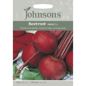 BEETROOT Perfect 3 Seeds - image 1