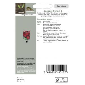 BEETROOT Perfect 3 Seeds - image 2