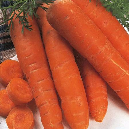 Carrot Autumn King Organic Seeds