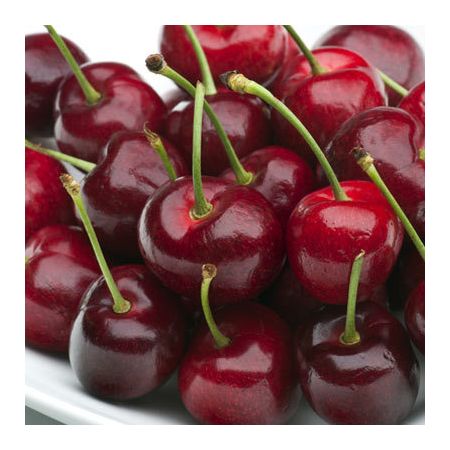 Cherry Early Rivers