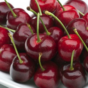 Cherry Early Rivers