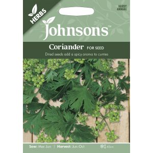 CORIANDER for Seed Seeds - image 1