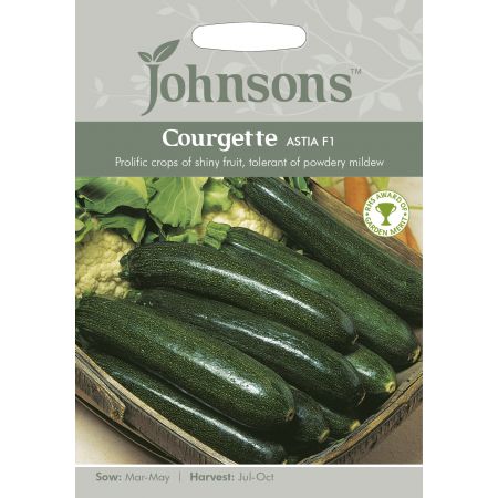 COURGETTE Astia F1 Seeds - image 1