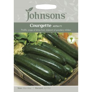 COURGETTE Astia F1 Seeds - image 1