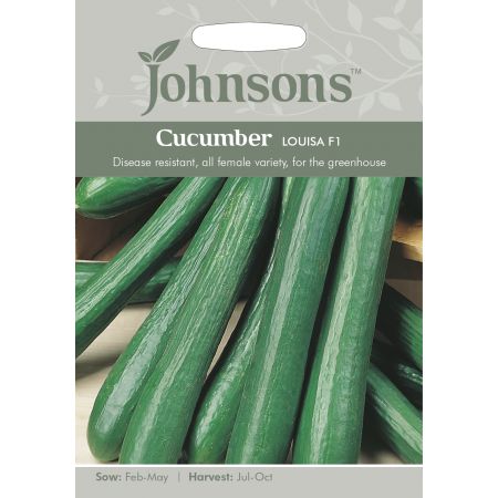 CUCUMBER Louisa F1 Seeds - image 1