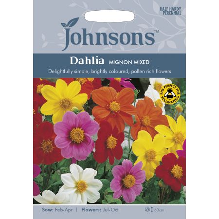 DAHLIA Mignon Mixed Seeds - image 1