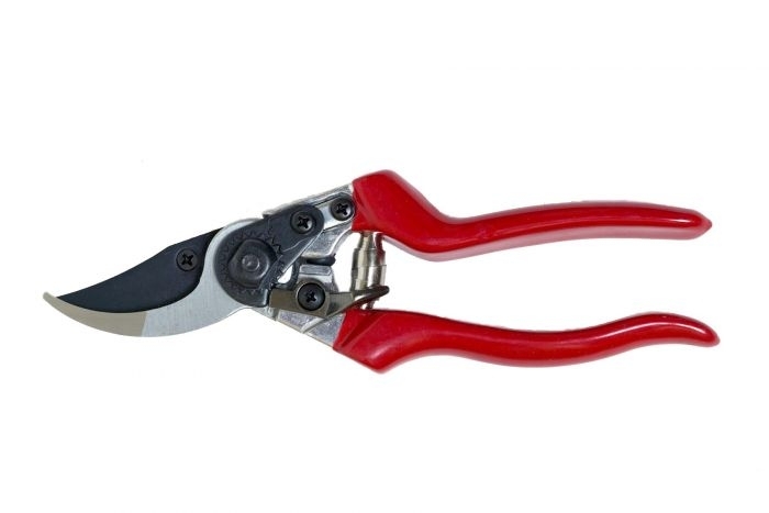 DP30 Professional Pruner - Goldcliff Garden Centre