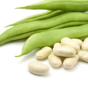 Dwarf French Bean Cannellino Organic Seeds