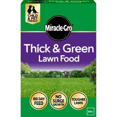 Evergreen Thick & Green Lawn Food 200m2