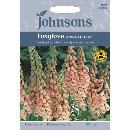 FOXGLOVE Apricot Delight Seeds - image 1