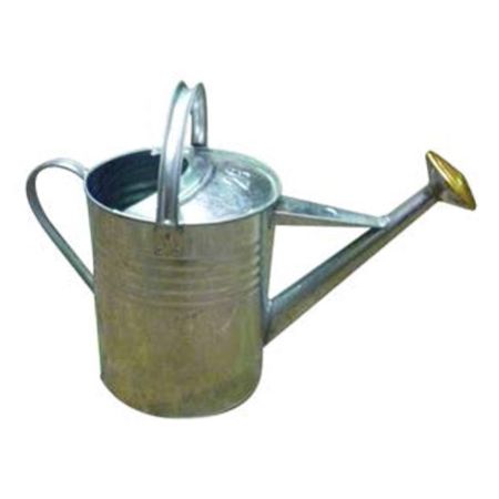 Galvanised Watering Can 9L