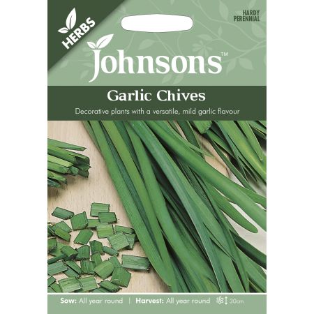 GARLIC CHIVES Seeds - image 1