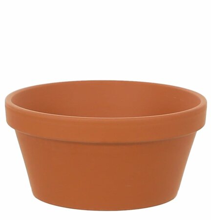 Half Pot Terracotta 10inch