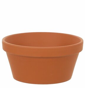 Half Pot Terracotta 10inch