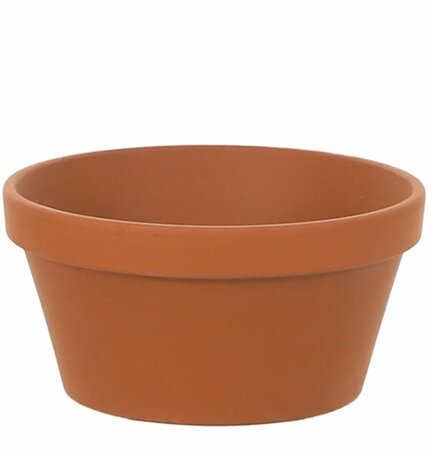 Half Pot Terracotta 8"