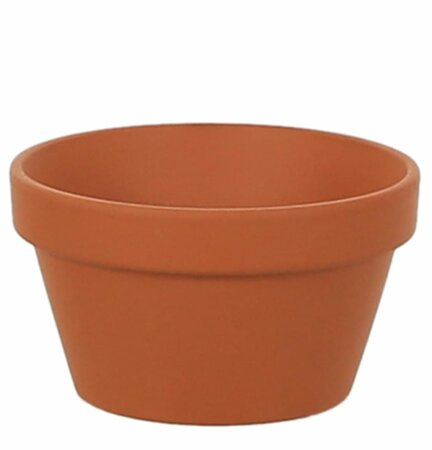 Half Terracotta Pot 5 inch