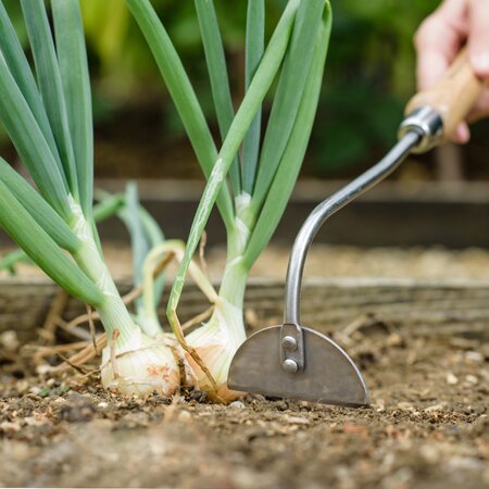 Hand Onion Hoe Stainless Steel - image 2