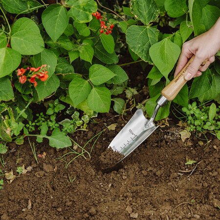 Hand Transplanting Trowel Stainless Steel - image 2