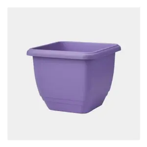 Lavender Patio Planter 30cm