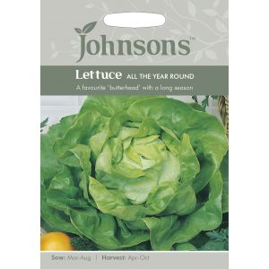 LETTUCE All The Year Round Seeds - image 1