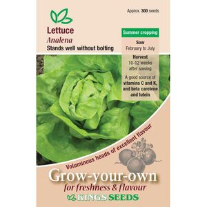 Lettuce Analena seeds