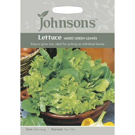 LETTUCE Mixed Green Leaves Seeds - image 1