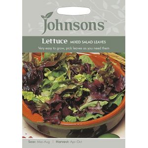 Lettuce Mixed Salad Leaves Johnsons Seeds