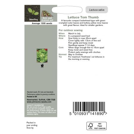 LETTUCE Tom Thumb Seeds - image 2