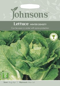 LETTUCE Winter Density