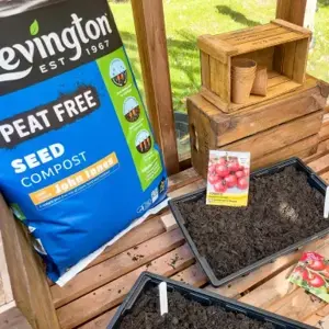 Levington John Innes Peat Free Seed 10L - image 2