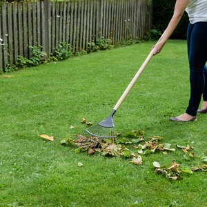 Long Handled Lawn Rake Carbon Steel - image 2