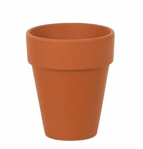 Long Tom Terracotta Pot 4"