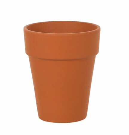 Long Tom Terracotta Pot 6"