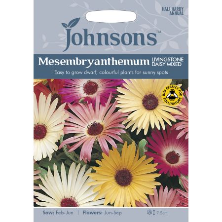 MESEMBRYANTHEMUM Livingstone Daisy Mixed Seeds - image 1