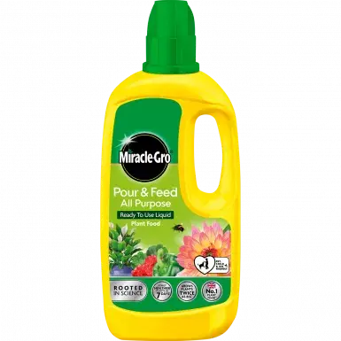 Miracle-Gro All Purpose Pour & Feed 1L - image 1