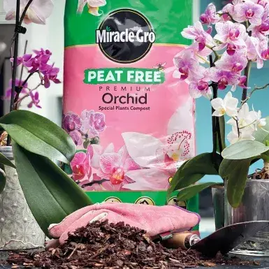 Miracle Gro Orchid Compost 10L - image 2