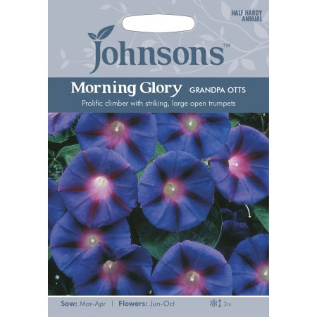 MORNING GLORY Grandpa Otts Seeds - image 1