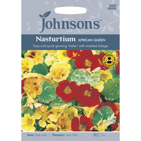 NASTURTIUM African Queen Seeds - image 1