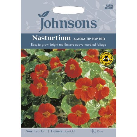 NASTURTIUM Alaska Tip Top Red Seeds - image 1