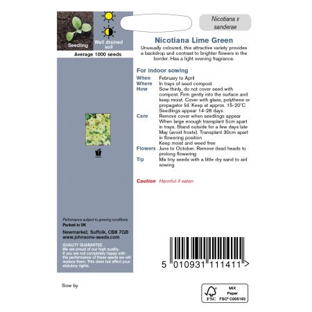 NICOTIANA Lime Green Seeds - image 2