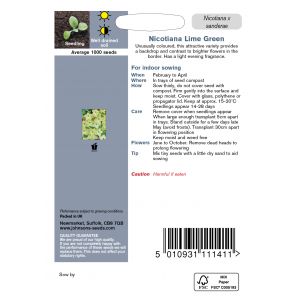 NICOTIANA Lime Green Seeds - image 2