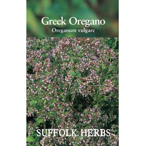 Oregano Greek Seeds