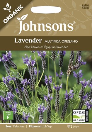 ORG LAVENDER multifida Oregano Seeds