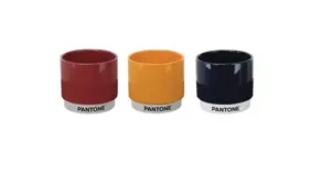 Pantone 9cm Indoor Mini Pot