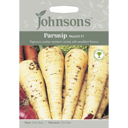 PARSNIP Palace F1 Seeds - image 1